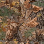 Maple leaf camouflage